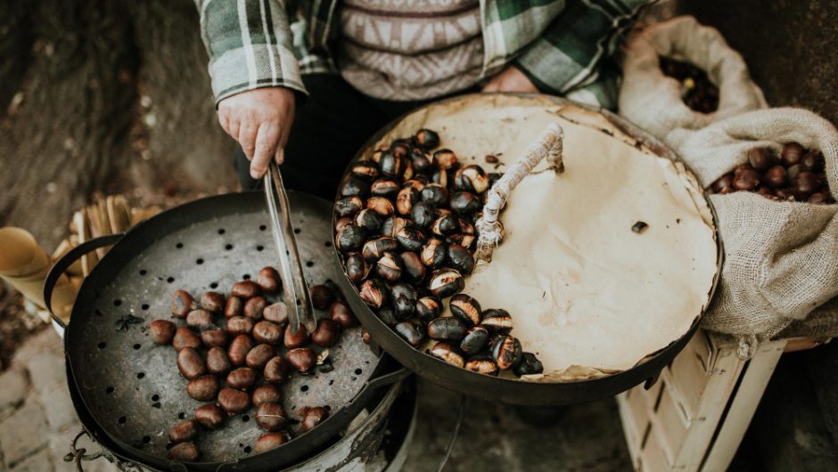 Explorând lumea cafelei: De la boabe la ceașcă