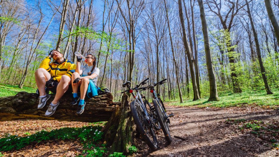 Aventuri pe patru roți: Explorări off-road în România