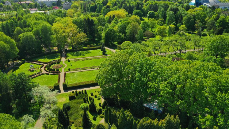 Champs-Elysées se transformă: O oază urbană verde