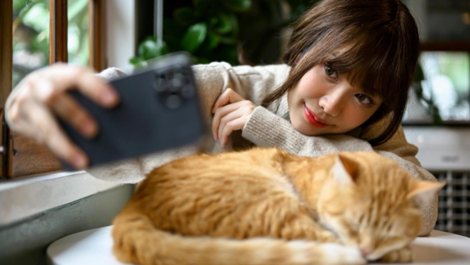 Pasiune pentru pisici: Cele mai instagramabile cafenele cu pisici