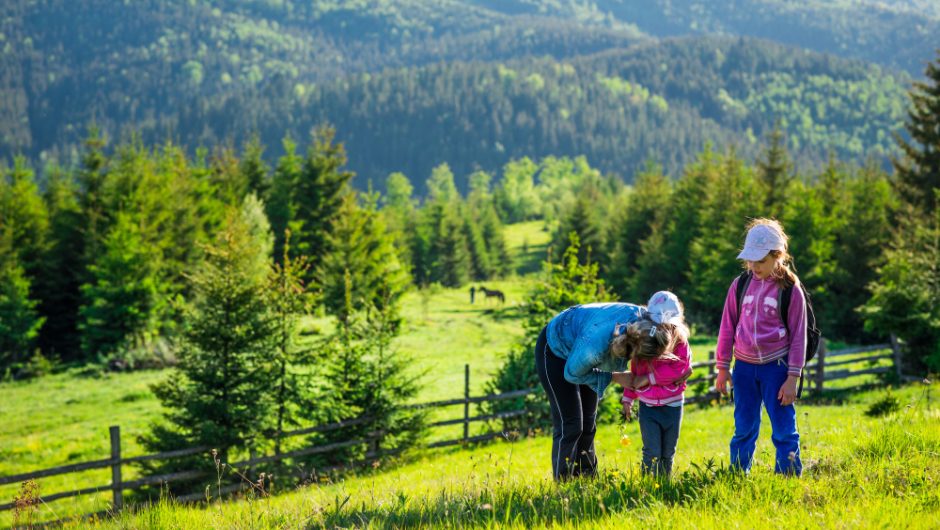 Parcuri naționale românești: Escapade în natură