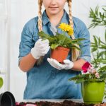Cum să combini plantele perene și anuale pentru o grădină colorată