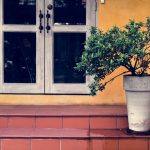 Casa în tonuri de măsliniu, crem și cărămidă arsă